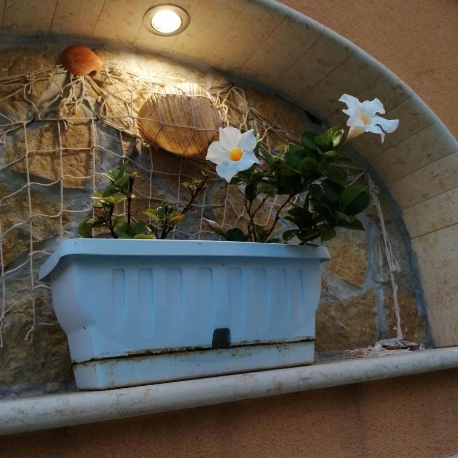 Ivana Home Trapani Zewnętrze zdjęcie